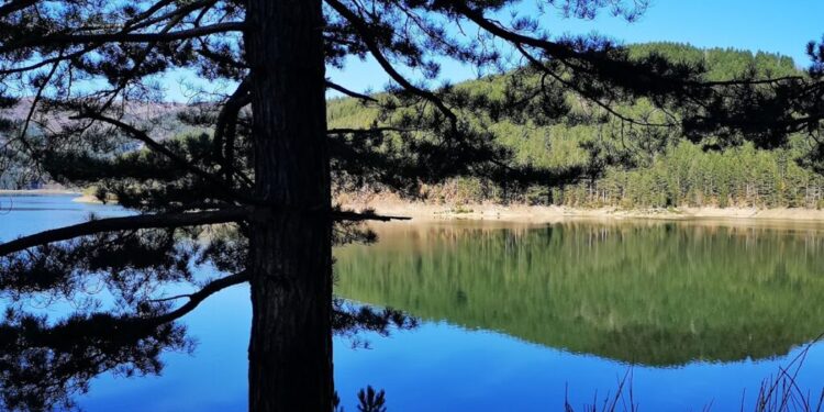 Sila, si studia il Turismo montano per capire tendenze di mercato e strategie operatori