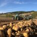 Produttori agricoli silani vivono momenti di incertezza e chiedono di non produrre in perdita