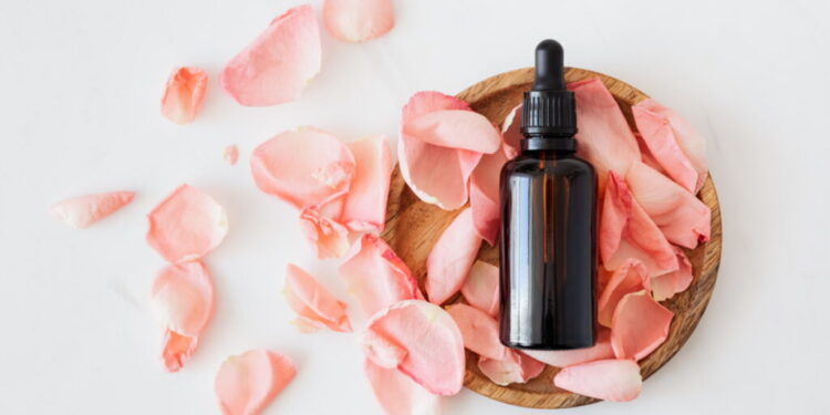 I migliori consigli per conservare l’olio di Cbd