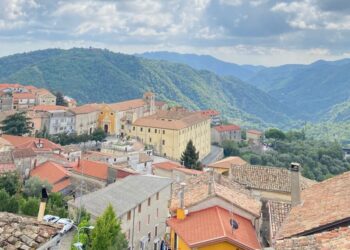 Taverna, meeting su responsabilità sanitaria e gestione del rischio