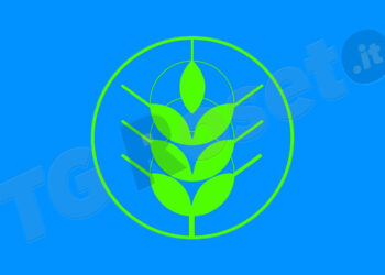 Sellia, polemica con la Regione per Spighe verdi