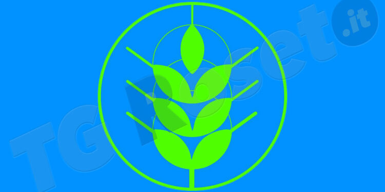 Sellia, polemica con la Regione per Spighe verdi