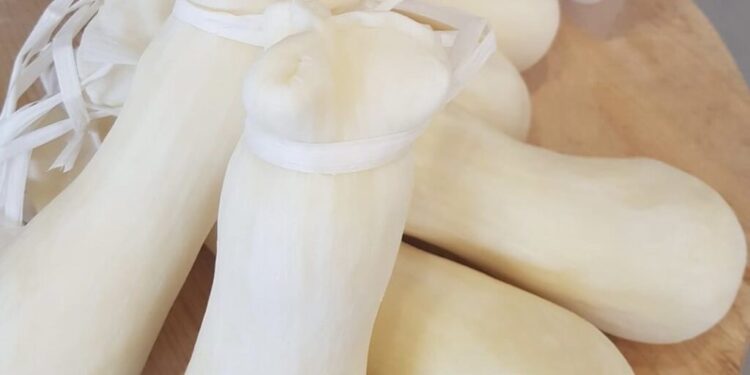 Una nuova food experience del gastrononomo con il baffo Piero Cantore