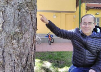 Camigliatello. Guerra alla processionaria in Sila/ I cittadini si attrezzano da soli/ Piero Cortese: «Una goccia crea il mare…»