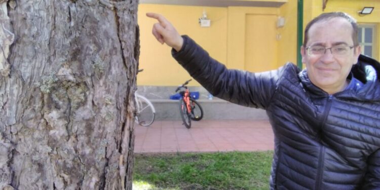 Camigliatello. Guerra alla processionaria in Sila/ I cittadini si attrezzano da soli/ Piero Cortese: «Una goccia crea il mare…»