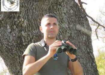 Un calabrese nominato vicepresidente della Società Ornitologica Italiana/ Gianluca Congi: «Per me è un grande onore»