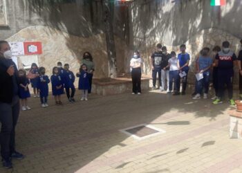 Andali, trova dimora l’albero di Giovanni Falcone