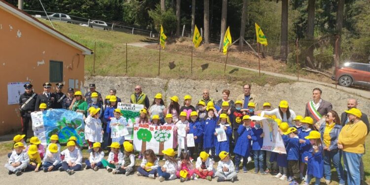 “Un albero per il futuro”, coinvolti i giovani studenti di Serrastretta e Decollatura