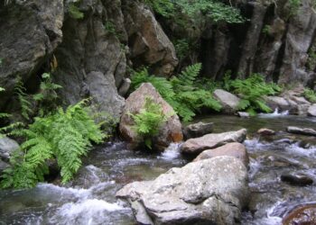 Sersale, corso per guida ambientale: iniziativa della Riserva Naturale Valli Cupe