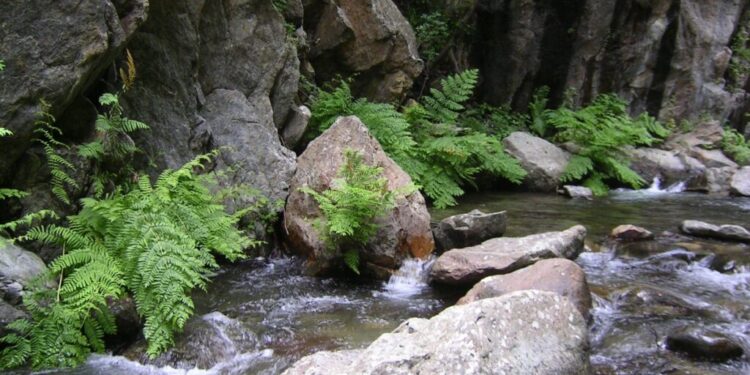 Sersale, corso per guida ambientale: iniziativa della Riserva Naturale Valli Cupe