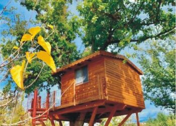 Rogliano, la casetta sull’albero della Tenuta Bocchineri nei concorsi Pepsi, Ricola e Hansaplast