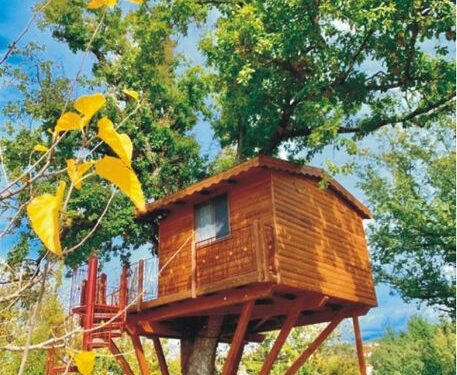 Rogliano, la casetta sull’albero della Tenuta Bocchineri nei concorsi Pepsi, Ricola e Hansaplast