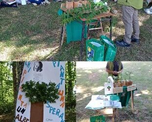 Soveria Mannelli: all’IC “G. Rodari” concluso progetto “Un albero per il futuro”