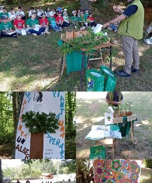 Soveria Mannelli: all’IC “G. Rodari” concluso progetto “Un albero per il futuro”