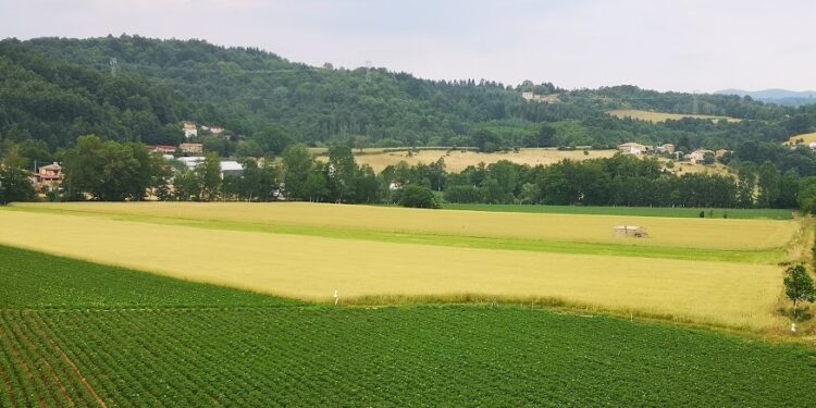 “Digital Pocket Travel Map”, arriva la guida interattiva degli agriturismi di Campagna Amica – Terranostra Calabria