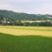 “Digital Pocket Travel Map”, arriva la guida interattiva degli agriturismi di Campagna Amica – Terranostra Calabria
