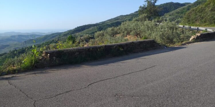 Petronà e Mesoraca, incuria su Strada Provinciale 159/4