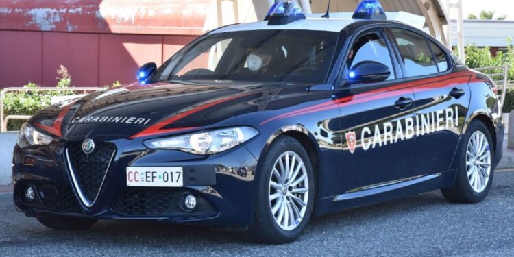 Carabinieri scoprono piantagioni di marijuana a Catanzaro e Tiriolo