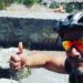 L’impresa di Giuseppe Esposito/ Da Soveria Mannelli a Palermo in sella alla sua mountain bike