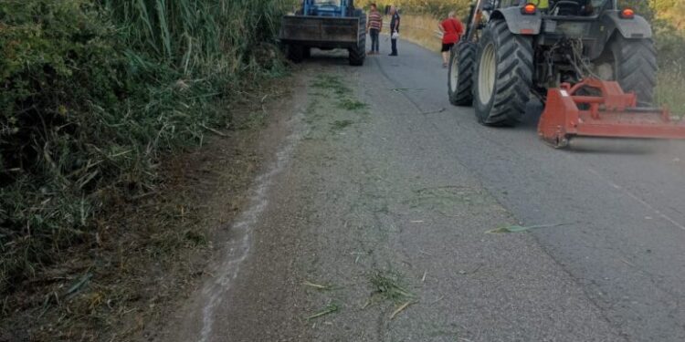 Zagarise, oggi la protesta dei trattori contro la Provincia