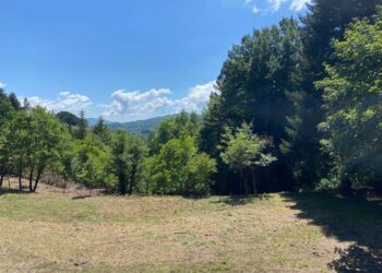 L’amministrazione Perri ridà nuova vita alla villa comunale di Decollatura