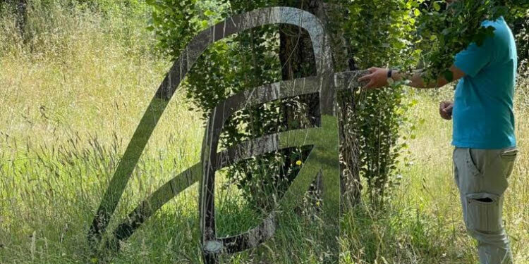 Domenica 25 settembre l’inaugurazione di CARTA, il parco d’arte contemporanea Rubbettino