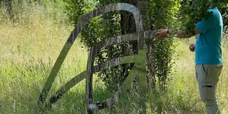 Domenica 25 settembre l’inaugurazione di CARTA, il parco d’arte contemporanea Rubbettino