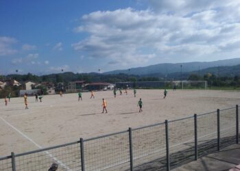 Garibaldina: un pari stiracchiato, ma così non va!