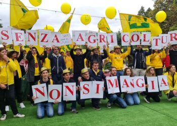 Coldiretti Calabria: bollette salate, famiglie e imprese in una morsa