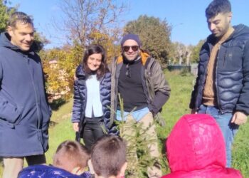 Una fiaba di Natale dei fratelli Grimm a Marzi/ La giornata degli alberi nel borgo del Savuto