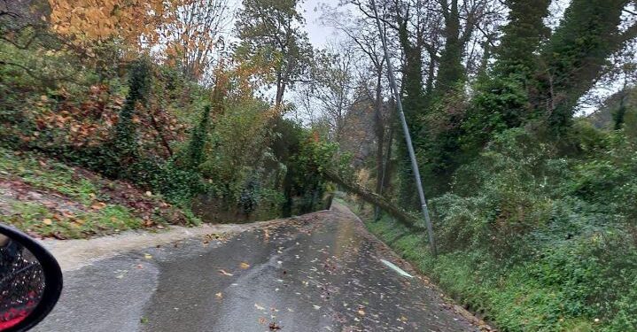 Maltempo, problemi di viabilità a Decollatura