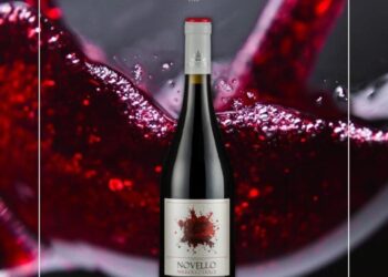 Una Wine Experience di Piero Cantore con il vino Novello