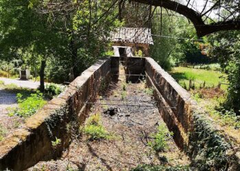 Acli Terra Calabria e Comunità dei grani antichi e dei mulini a pietra: una legge regionale per la tutela