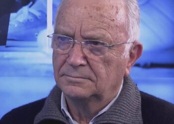 Il Consorzio Olio di Calabria IGP regala ulivo cultivar a Villacidro (Ca)