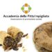 Accademia della pitta’mpigliata, a San Giovanni in Fiore nasce l’associazione per valorizzare il dolce tipico calabrese