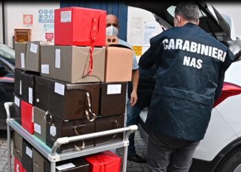 100 panettoni sequestrati donati (VIDEO) dai Carabinieri ai reparti pediatria degli ospedali di Catanzaro e Lamezia e alla Croce Rossa