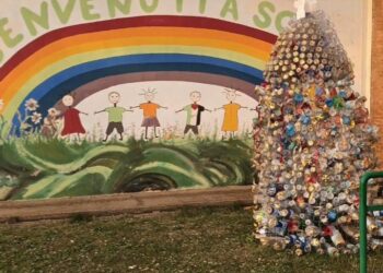 Botricello, albero riciclato di quasi tre metri