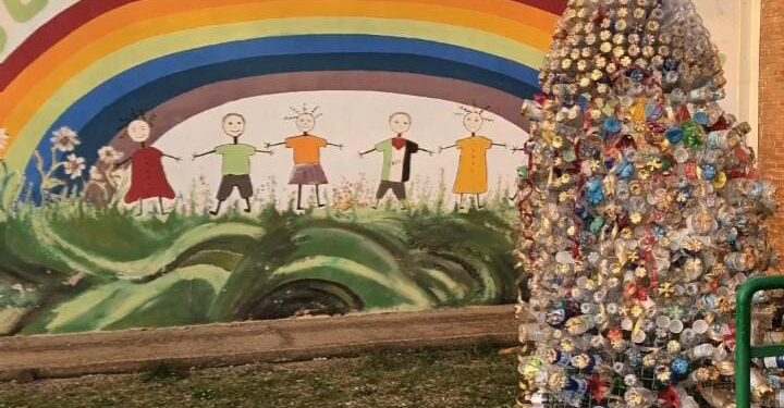 Botricello, albero riciclato di quasi tre metri