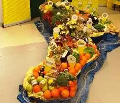 Coldiretti Calabria: alimentare crolla del 4%, famiglie in difficoltà