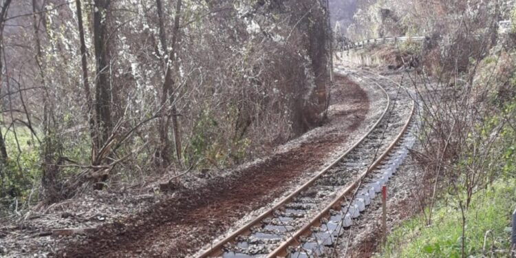 Sulla tratta ferroviaria Catanzaro-Cosenza, investimenti per quasi 300 milioni di euro