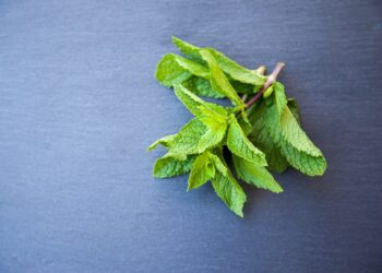 Erbe aromatiche, le preferite degli italiani: sapori più apprezzati e usi più comuni