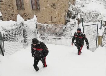 Presila catanzarese risolte situazioni di difficoltà causa neve, i Carabinieri di Petronà a fianco dei cittadini