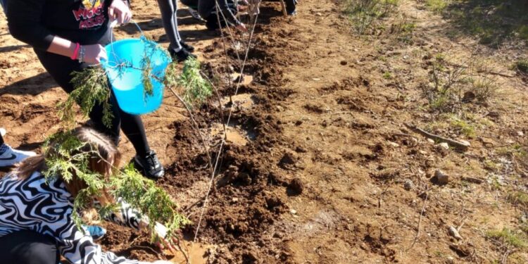 Soveria Mannelli, “Un albero per il futuro” degli alunni dell’IC Rodari