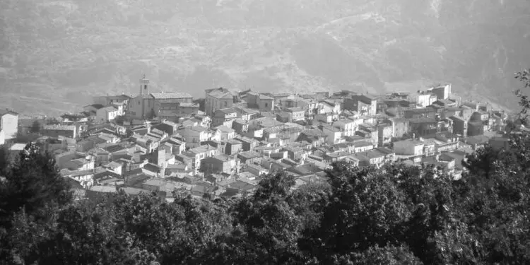 Panorama