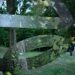 Seconda residenza d’artista per il parco Carta di Rubbettino