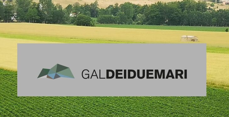 Gal dei Due Mari, riapertura dei termini del bando ”Investimenti nelle aziende agricole”