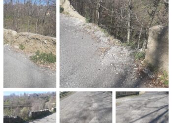 Petronà, appello per lavori su strada provinciale
