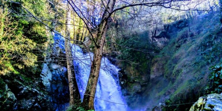 Le meraviglie di Marzi, Carpanzano, Scigliano e Bianchi a tiratura nazionale/ Sulla rivista “In famiglia” un servizio sul Savuto