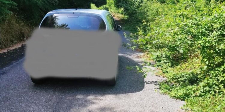 Un cittadino segnala lo stato di abbandono della SP 93