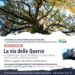 Decollatura, il 2 settembre escursione “La Via delle Querce”
